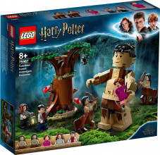 75967 LEGO® Harry Potter Запретный лес: Грохх и Долорес Амбриджлет, 8+ лет