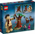 75967 LEGO® Harry Potter Aizliegtais mežs: sastapšanās ar Ambrāžu, 8+ gadi