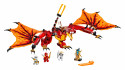 71753 LEGO® Ninjago Атака огненного дракона, c 8+ лет, 2021