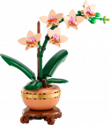10343 LEGO® Icons Botanicals Collection Mini orhideja, 18+ gadi, 2025 gada modelis