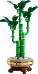10344 LEGO® Icons Botanicals Collection Veiksmes bambuss, 18+ gadi, 2025 gada modelis