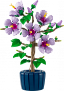 10372 LEGO® ICONS™ Hibiski , 18+ gadi, 2026 gada modelis