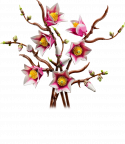 11510 LEGO® Icons Botanical Magnolijas zariņi , 18+ , модель 2026 года