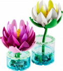 11511 LEGO® Icons Botanical Ūdensrozes, 18+ , модель 2026 года